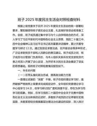 班子2025年度民主生活会对照检查材料（五个带头+典型案例剖析）