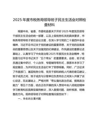 2025年度市税务局领导班子民主生活会对照检查材料