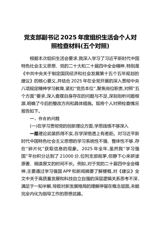 党支部副书记2025年度组织生活会个人对照检查材料（五个对照）