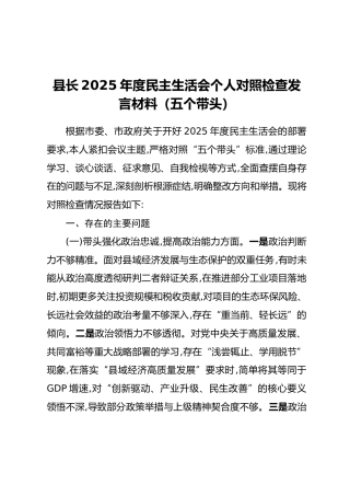 县长2025年度民主生活会个人对照检查发言材料（五个带头）