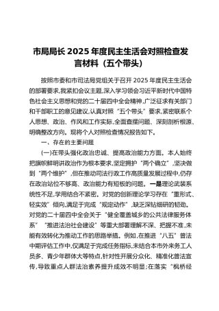 市局局长2025年度民主生活会对照检查发言材料（五个带头）