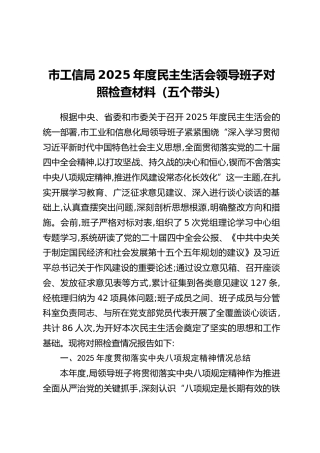 市工信局2025年度民主生活会领导班子对照检查材料（五个带头）