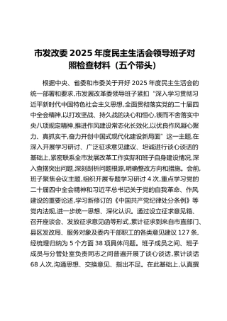 市发改委2025年度民主生活会领导班子对照检查材料（五个带头）