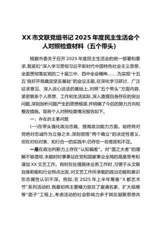 XX市文联党组书记2025年度民主生活会个人对照检查材料（五个带头）