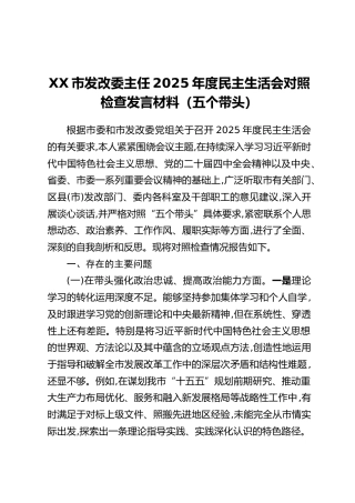 XX市发改委主任2025年度民主生活会对照检查发言材料（五个带头）