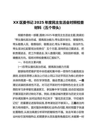 XX区委书记2025年度民主生活会对照检查材料（五个带头）