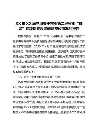 XX市XX局党组关于市委第二巡察组“群腐”专项巡察反馈问题整改情况的报告