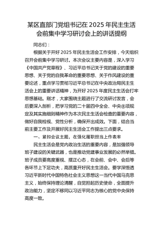 在2025年民主生活会前集中学习研讨会上的讲话