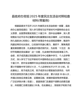 县政府办班子2025年度民主生活会对照检查材料(含整治形式主义、意识形态、保密)