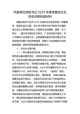司法系统书记2025年度民主生活会对照检查材料