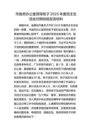 市政府办公室领导班子2025年度民主生活会对照检查2