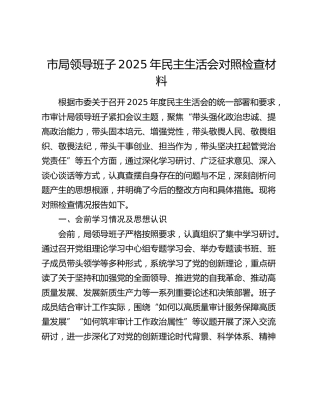 市审计系统领导班子2025年民主生活会对照检查材料