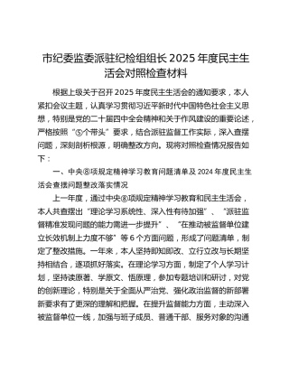 市纪委监委派驻纪检组组长2025年度民主生活会对照检查5600字