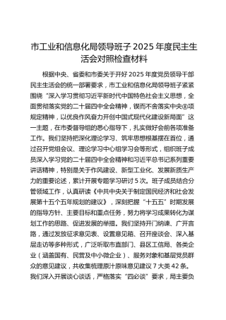 市工信局领导班子2025年度民主生活会对照检查2