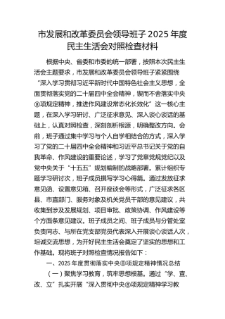 市发改委领导班子2025年度民主生活会对照检查（含典型案例剖析、以案四说）