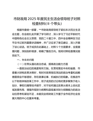市财政局2025年度民主生活会领导班子对照检查(含反面典型案例剖析)