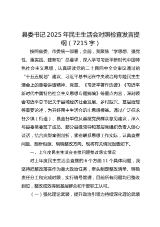 县委书记2025年民主生活会对照检查发言提纲（7215字）