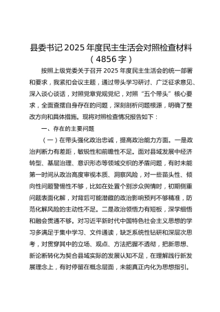 县委书记2025年度民主生活会对照检查材料（4856字）