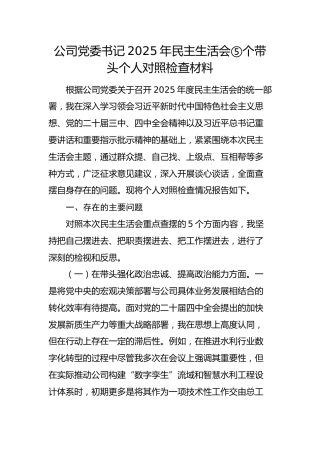 国企党委书记2025年民主生活会对照检查材料