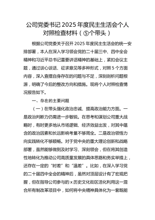 国企党委书记2025年度民主生活会个人对照检查材料