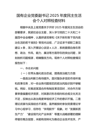国企党委副书记2025年度民主生活会个人对照检查材料