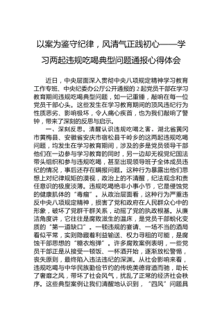 以案为鉴守纪律，风清气正践初心——学习两起违规吃喝典型问题通报心得体会