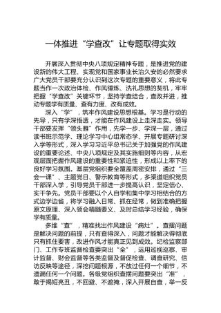 一体推进“学查改”让专题取得实效