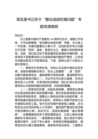 某区委书记关于“整治违规吃喝问题”专题党课提纲