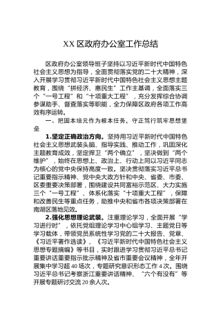 XX区政府办公室工作总结