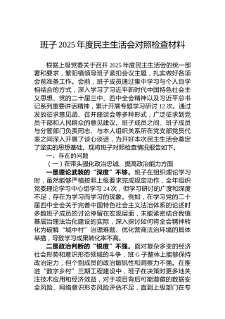 班子2025年度民主生活会对照检查材料