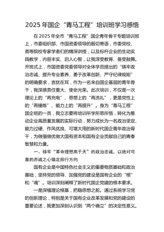 2025年国企公司“青马工程”培训班学习心得体会