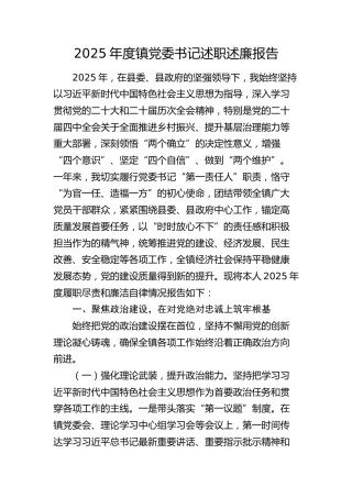2025年度乡镇党委书记述职述廉报告