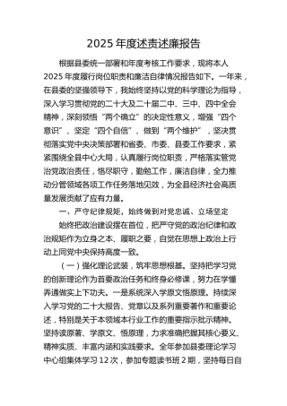 2025年度述责述廉报告提纲