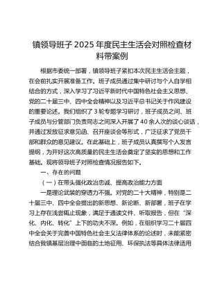 镇领导班子2025年度民主生活会对照检查材料（五个带头+典型案例剖析）