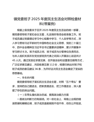 镇党委班子2025年度民主生活会对照检查材料(带案例)