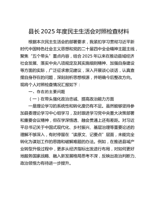 县长2025年度民主生活会对照检查材料（五个带头）