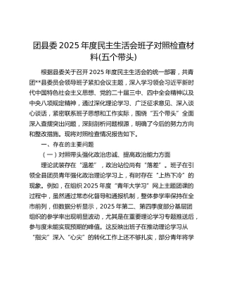 团县委2025年度民主生活会班子对照检查材料(五个带头)