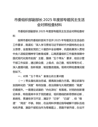 市委组织部副部长2025年度部专题民主生活会对照检查材料（五个带头）