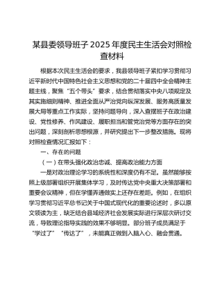 某县委领导班子2025年度民主生活会对照检查材料（五个带头）