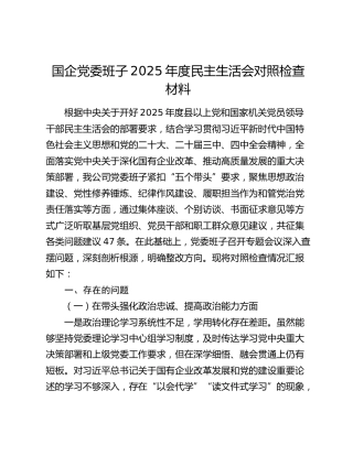 国企党委班子2025年度民主生活会对照检查材料（五个带头）