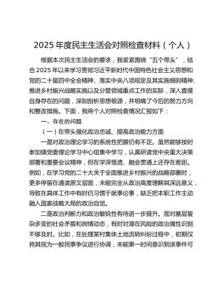 2025年度民主生活会对照检查材料（个人、五个带头）
