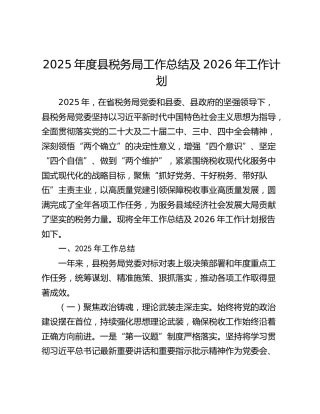 2025年度县税务局工作总结及2026年工作计划