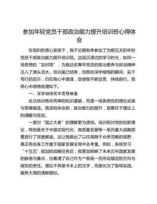 参加年轻党员干部政治能力提升培训班心得体会