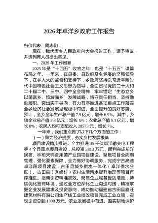 2026年卓洋乡政府工作报告