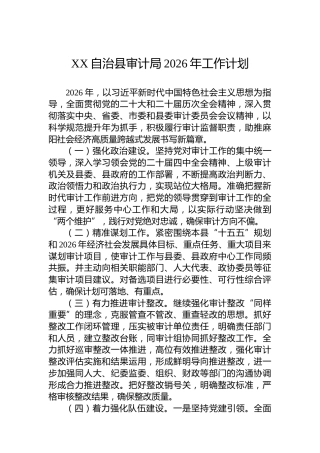 XX自治县审计局2026年工作计划