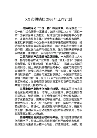 XX市供销社2026年工作计划