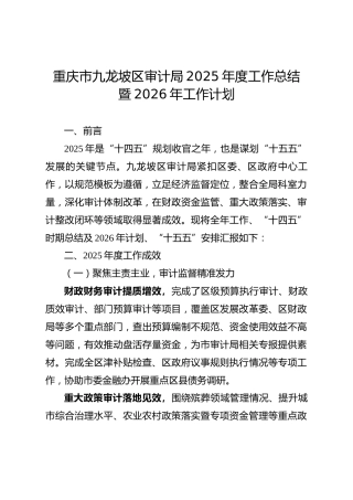 XX市XX区审计局2025年度工作总结暨2026年工作计划
