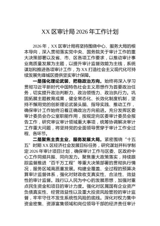 XX区审计局2026年工作计划