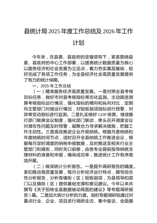 县统计局2025年度工作总结及2026年工作计划