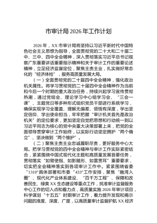 市审计局2026年工作计划